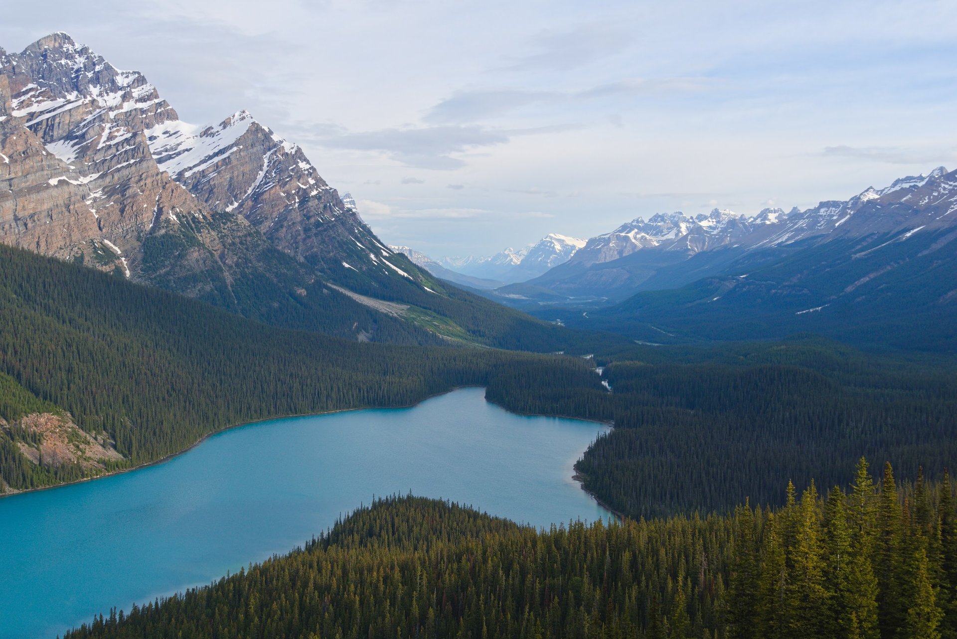 Peyto Lake from Bow Summit Lookout